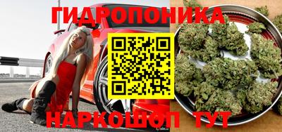 спиды Канаш