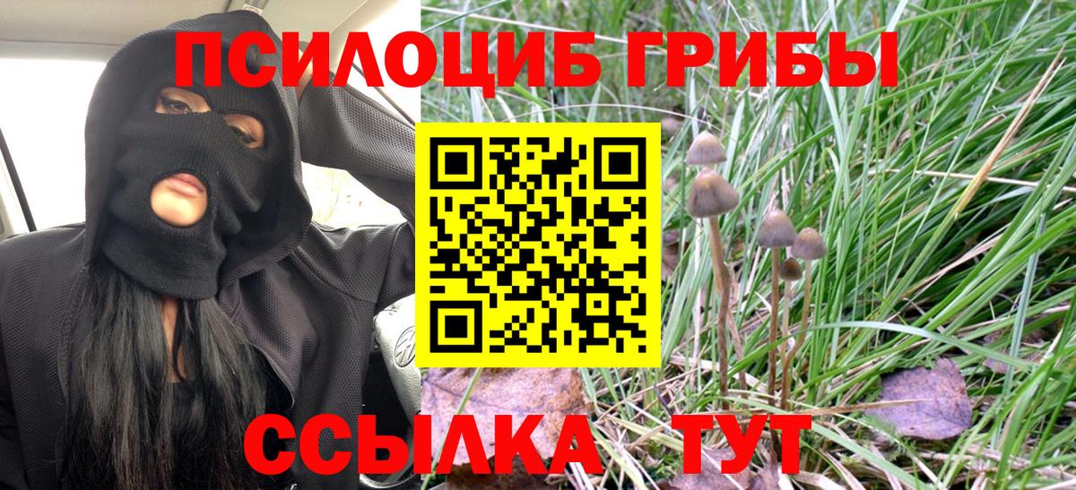 Галлюциногенные грибы MAGIC MUSHROOMS Кызыл